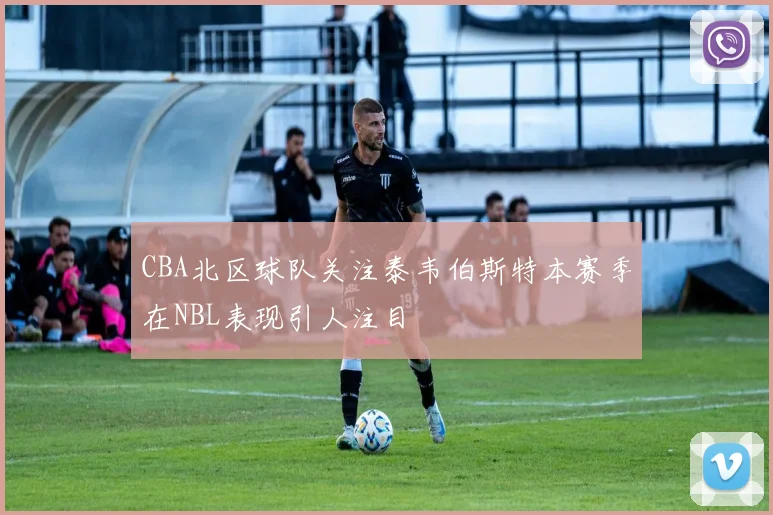 CBA北区球队关注泰韦伯斯特本赛季在NBL表现引人注目